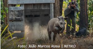 resilienciamag.com - Brasileiras recebem maior prêmio de conservação ambiental do mundo