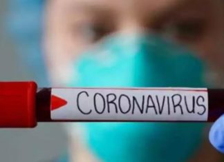 Austrália começa a testar vacina da Tuberculose contra covid