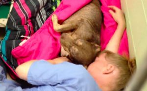 resilienciamag.com - Funcionária de abrigo aconchega cadela resgatada dentro de canil