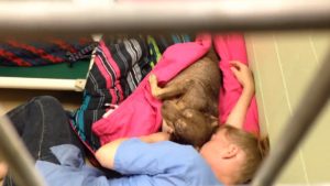 resilienciamag.com - Funcionária de abrigo aconchega cadela resgatada dentro de canil