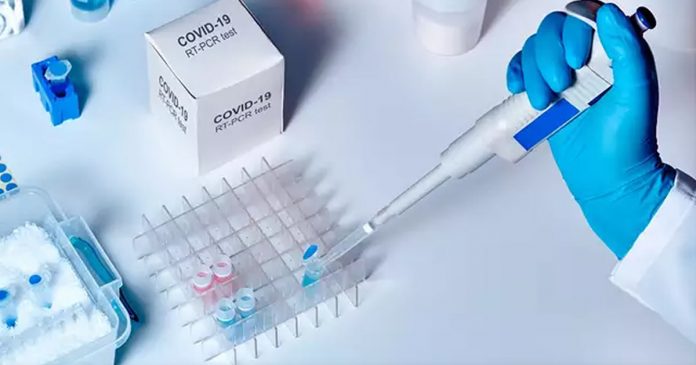 vacina-eua-faz-testes-e-resultados-sao-positivos-vacina-sai-em-2020 vacina-eua-faz-testes-e-resultados-sao-positivos-vacina-sai-em-2020