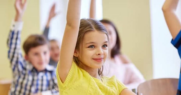 a-educacao-tem-raizes-amargas-mas-os-seus-frutos-sao-doces a-educacao-tem-raizes-amargas-mas-os-seus-frutos-sao-doces