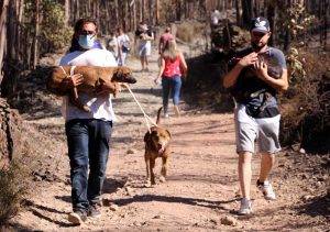 resilienciamag.com - Centenas de pessoas se juntam para salvar cachorros presos em canil ilegal em chamas em Portugal