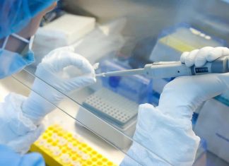 Covid: Rússia é o primeiro país do mundo a concluir testes da vacina em humanos.