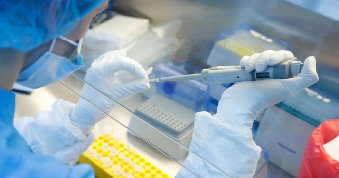 covid-russia-e-o-primeiro-pais-do-mundo-a-concluir-testes-da-vacina-em-humanos covid-russia-e-o-primeiro-pais-do-mundo-a-concluir-testes-da-vacina-em-humanos