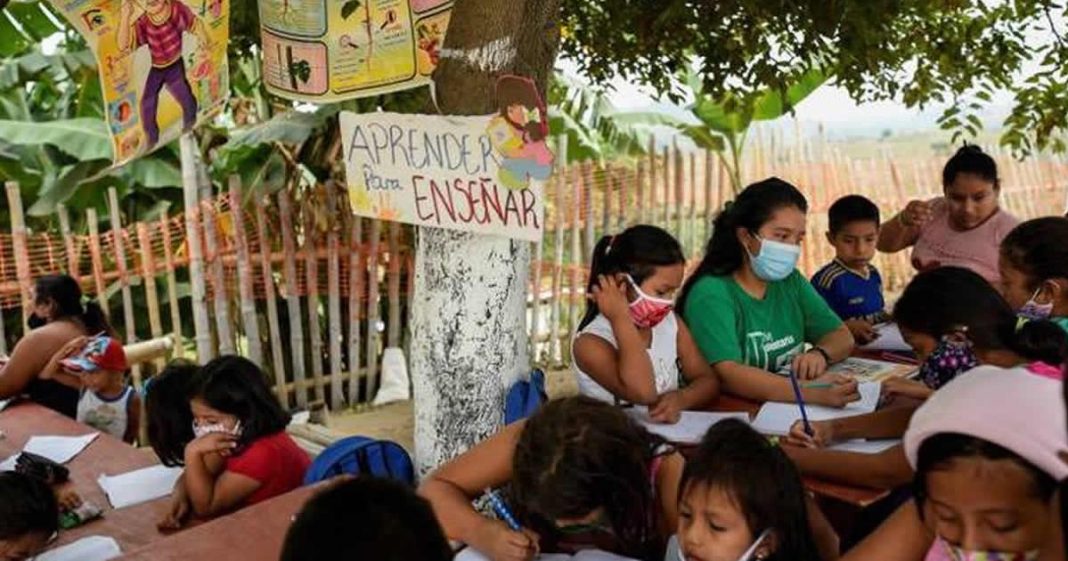 Jovem instala escola na árvore para ajudar crianças sem internet na pandemia.