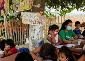 Jovem instala escola na árvore para ajudar crianças sem internet na pandemia.