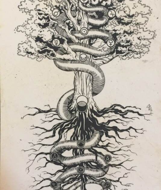 arvore-da-vida