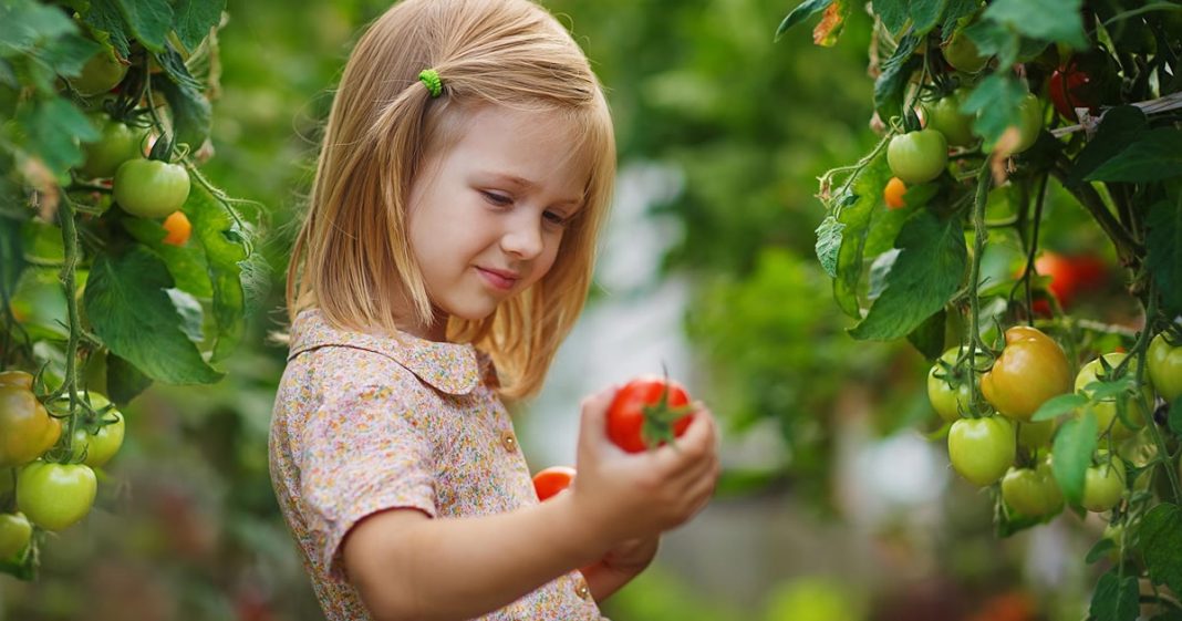 Novo estudo mostra que jardins melhoraram o sistema imunológico de crianças em apenas um mês