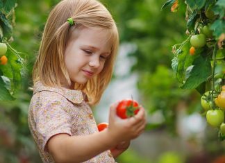 Novo estudo mostra que jardins melhoraram o sistema imunológico de crianças em apenas um mês
