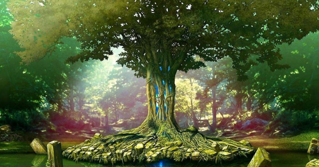 O verdadeiro poder da Árvore da Vida: Por que tantas pessoas a utilizam para cura?