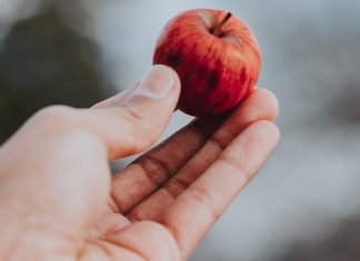 Pequenos gestos podem mudar o mundo de alguém