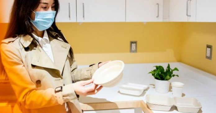 pesquisadores-criam-utensilios-biodegradaveis-que-sao-tao-baratos-quanto-o-plastico pesquisadores-criam-utensilios-biodegradaveis-que-sao-tao-baratos-quanto-o-plastico