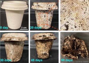 resilienciamag.com - Pesquisadores criam utensílios biodegradáveis que são tão baratos quanto o plástico.