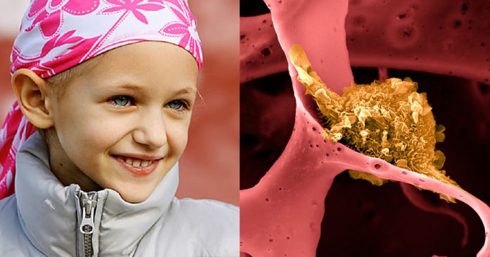 vacina-contra-cancer-criada-em-harvard-e-eficaz-em-100-dos-testes vacina-contra-cancer-criada-em-harvard-e-eficaz-em-100-dos-testes