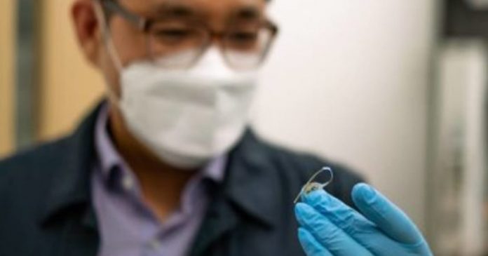 novo-implante-controla-fome-e-pode-substituir-cirurgia-bariatrica novo-implante-controla-fome-e-pode-substituir-cirurgia-bariatrica