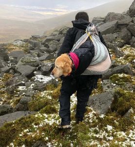 resilienciamag.com - Alpinistas carregam nas costas por 10Km cão perdido na neve