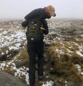 resilienciamag.com - Alpinistas carregam nas costas por 10Km cão perdido na neve