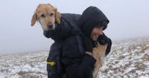 resilienciamag.com - Alpinistas carregam nas costas por 10Km cão perdido na neve