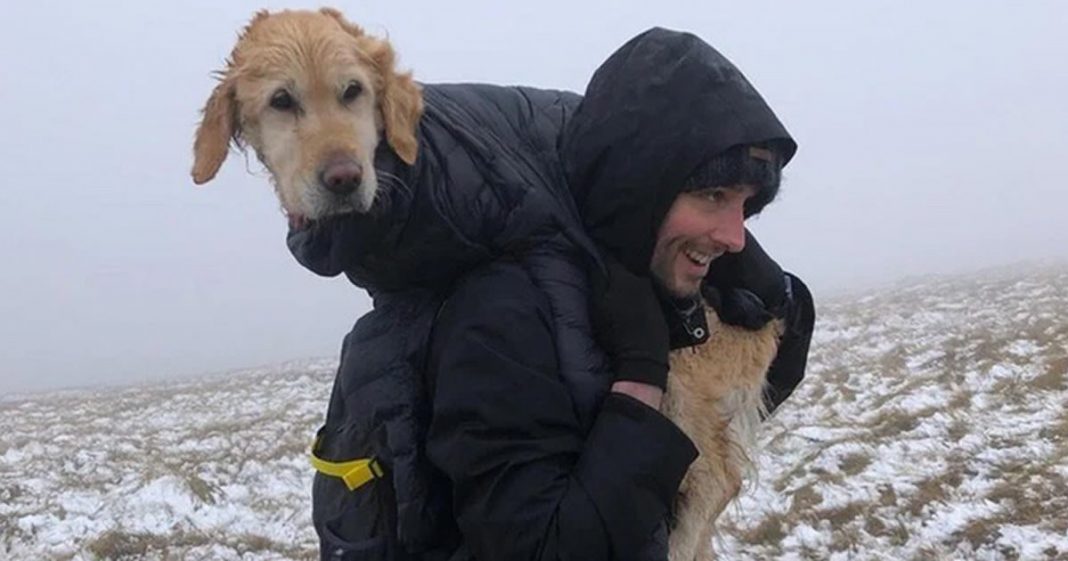 Alpinistas carregam nas costas por 10Km cão perdido na neve