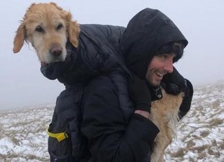 Alpinistas carregam nas costas por 10Km cão perdido na neve