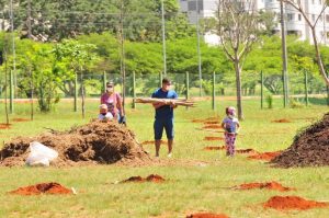 resilienciamag.com - Brasil está construindo o maior corredor para abelhas do mundo!