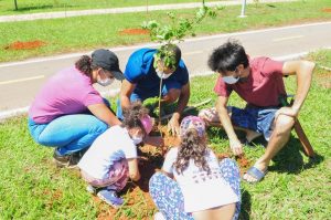 resilienciamag.com - Brasil está construindo o maior corredor para abelhas do mundo!