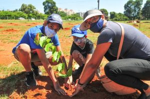 resilienciamag.com - Brasil está construindo o maior corredor para abelhas do mundo!