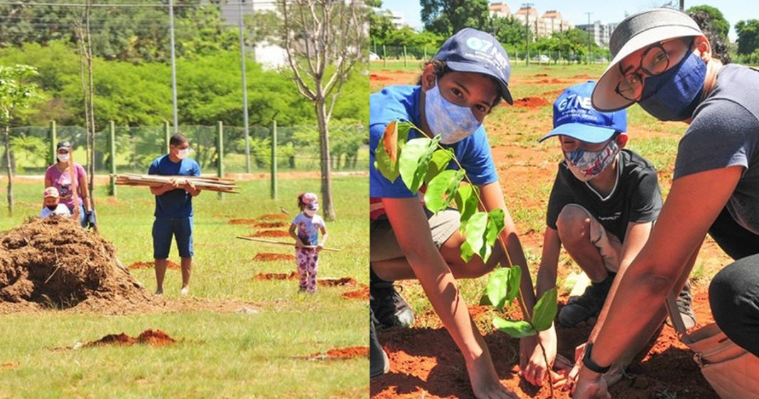 Brasil está construindo o maior corredor para abelhas do mundo!