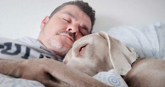 dormir-bem-pode-ser-mais-importante-que-se-alimentar-bem-diz-neurocientista dormir-bem-pode-ser-mais-importante-que-se-alimentar-bem-diz-neurocientista