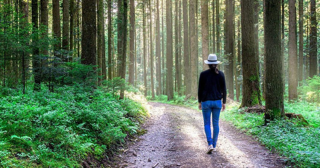 “Seguir em frente é simples, é o que nós deixamos para trás que é difícil”.