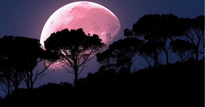 abril-tem-superlua-e-chuva-de-estrelas-de-meteoros-que-vao-movimentar-as-nossas-emocoes abril-tem-superlua-e-chuva-de-estrelas-de-meteoros-que-vao-movimentar-as-nossas-emocoes