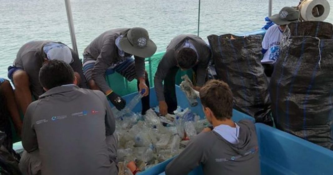 Ambientalistas retiram 4,6 toneladas de lixo das ilhas Galápagos