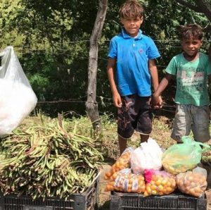 resilienciamag.com - Irmãos que vendiam verduras na rua vão à escola pela primeira vez