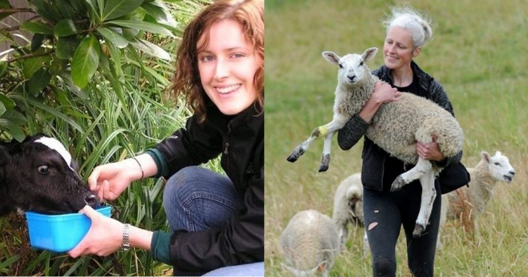 Boa ação: Mulher cria asilo de animais para cuidar de pets doentes!