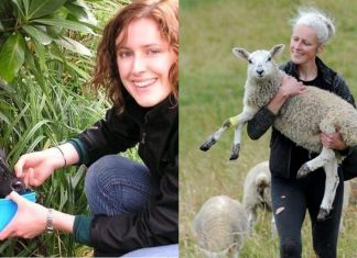 Boa ação: Mulher cria asilo de animais para cuidar de pets doentes!