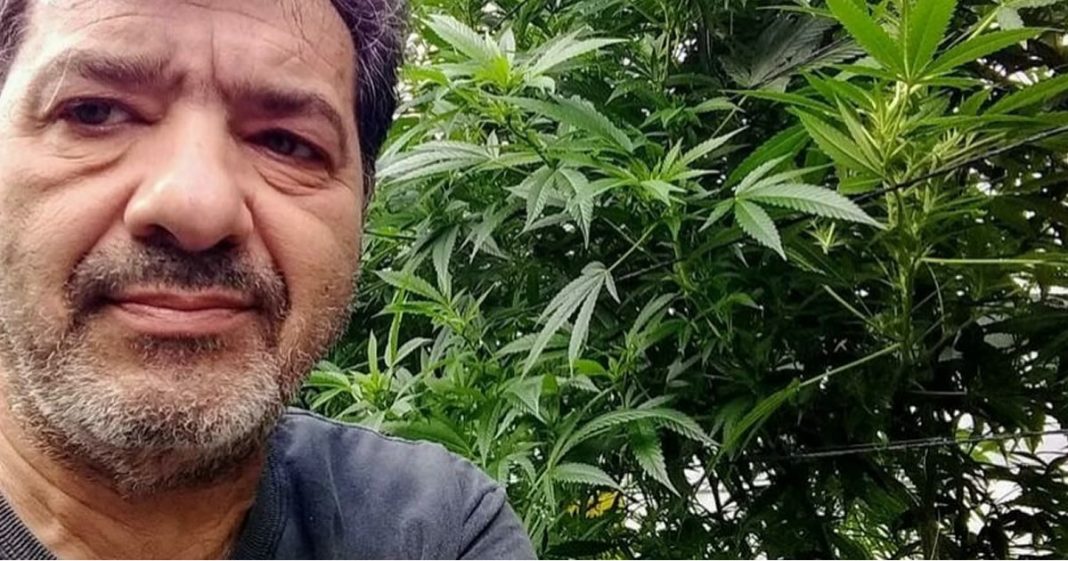 Brasileiro se torna sommelier de maconha em Israel: ‘é como um vinho’