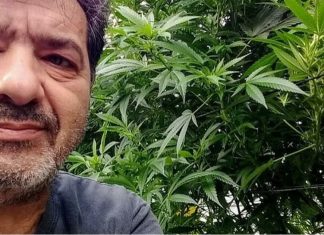 Brasileiro se torna sommelier de maconha em Israel: ‘é como um vinho’