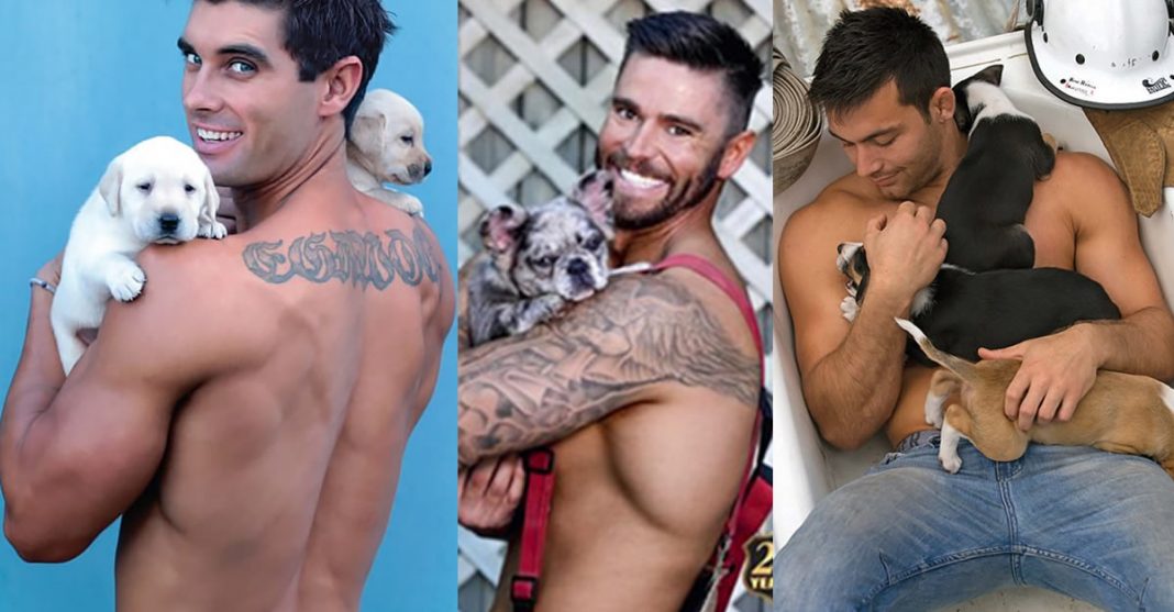 Bombeiros australianos posam sem camisas com animais para calendário 2022