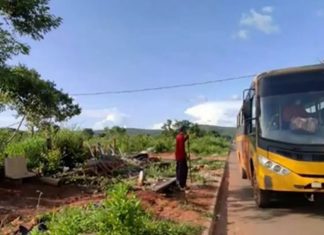 Sozinho, pai constrói ponto de ônibus para seus filhos e colegas se protegerem do Sol, em MG