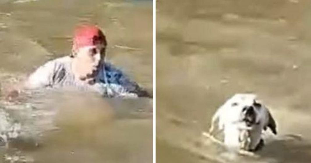 Homem pula em rio e salva cachorro no Ceará: VÍDEO