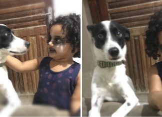 Mãe pega filha no flagra, se maquiando para parecer como cachorro!