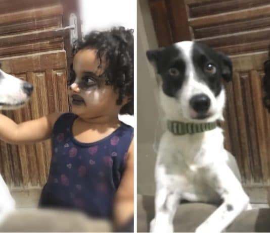 mae-pega-filha-no-flagra-se-maquiando-para-parecer-como-cachorro