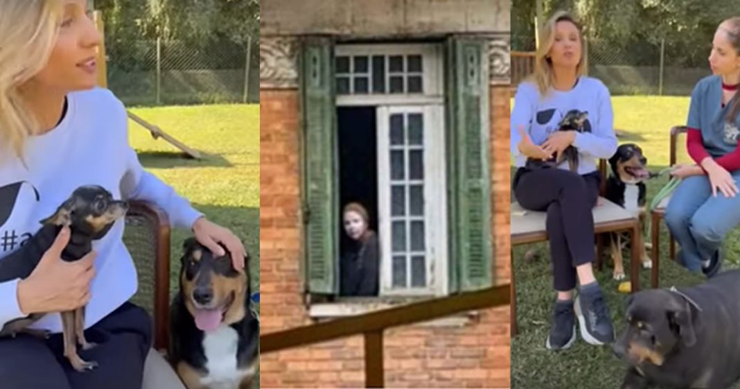 Luisa Mell conta como foi triste o resgate dos animais na “casa abandonada”.