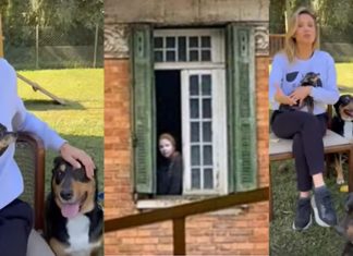 Luisa Mell conta como foi triste o resgate dos animais na “casa abandonada”.