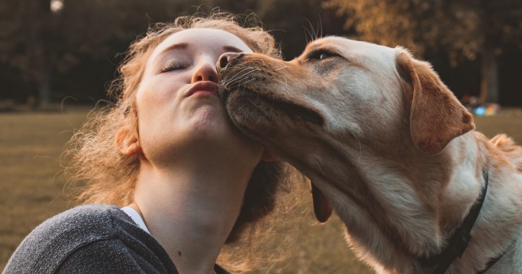 Um cão tem muito a nos ensinar sobre amor, aceitação e companheirismo!