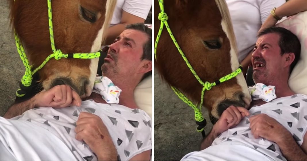 Terapia com cavalo provoca reação emocionante em homem doente (Vídeo)