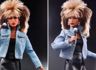 Barbie lança boneca em homenagem a Tina Turner para empoderar as meninas!