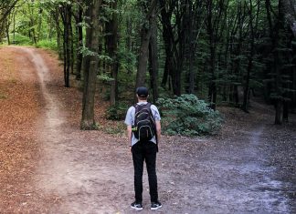 O segredo da felicidade é saber qual é o seu lugar e apreciar os desafios do caminho.