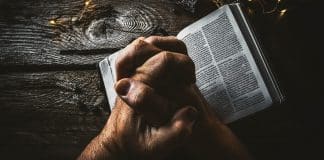 resilienciamag.com -